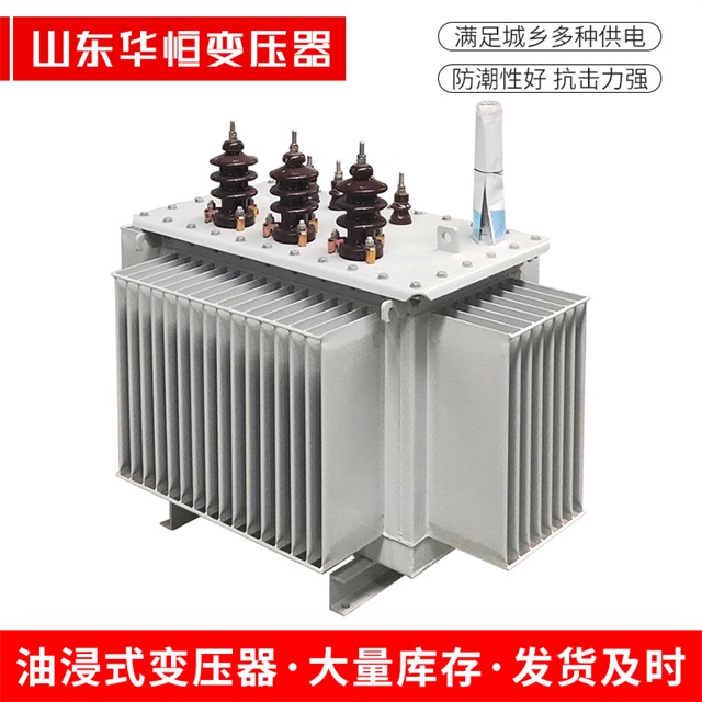 S13-10000/35特克斯特克斯特克斯油浸式变压器厂家